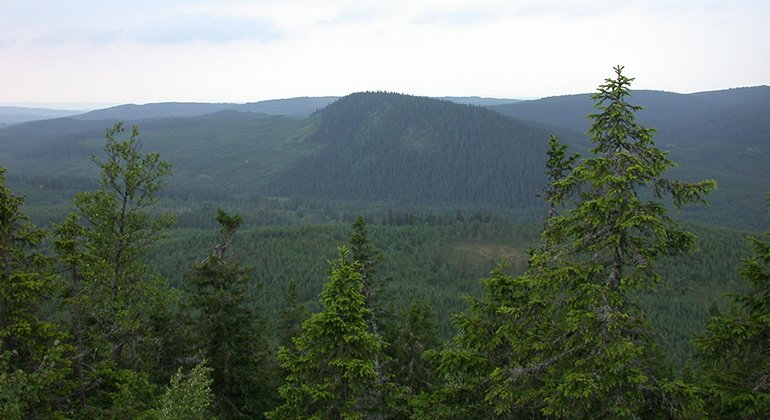 Skogbeklädd höjd vars siluett gett upphov till namnet Gartosofta (björnhuvud på finska). Foto Dan Mangsbo.