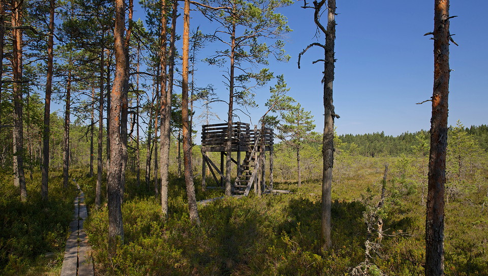 Utsiktstornet i Grundsjömossarna