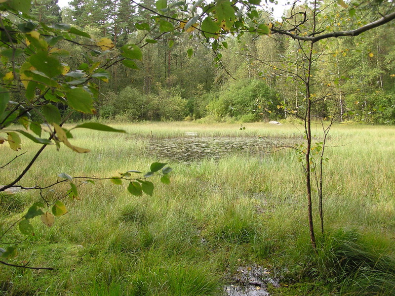 Varlaskogen ligger i Varla, mitt i Kungsbacka