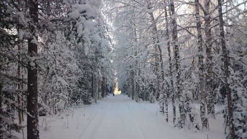 Foto: Birgit Kicki Molin