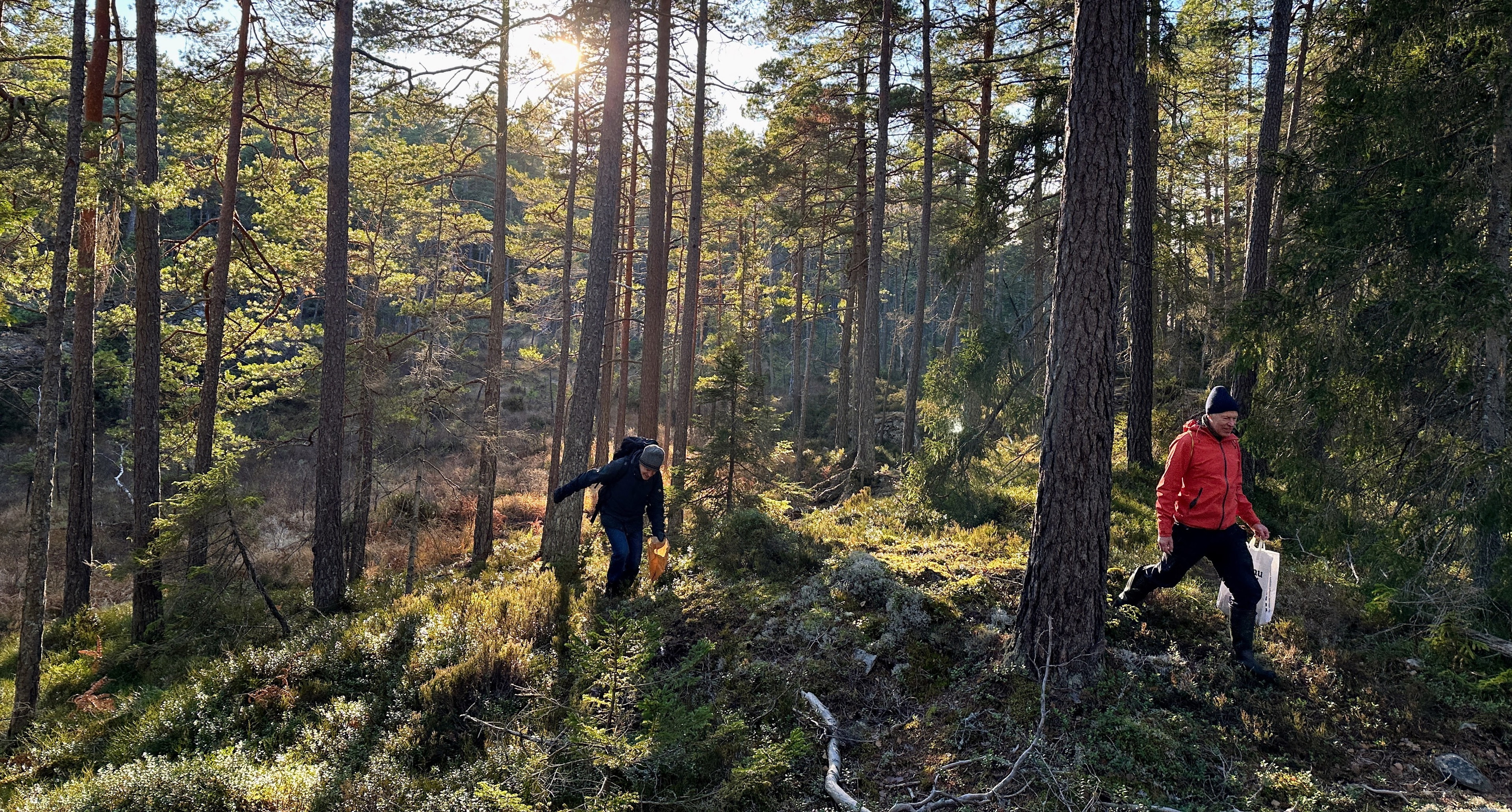 Naturkartan fortsätter att växa +28%