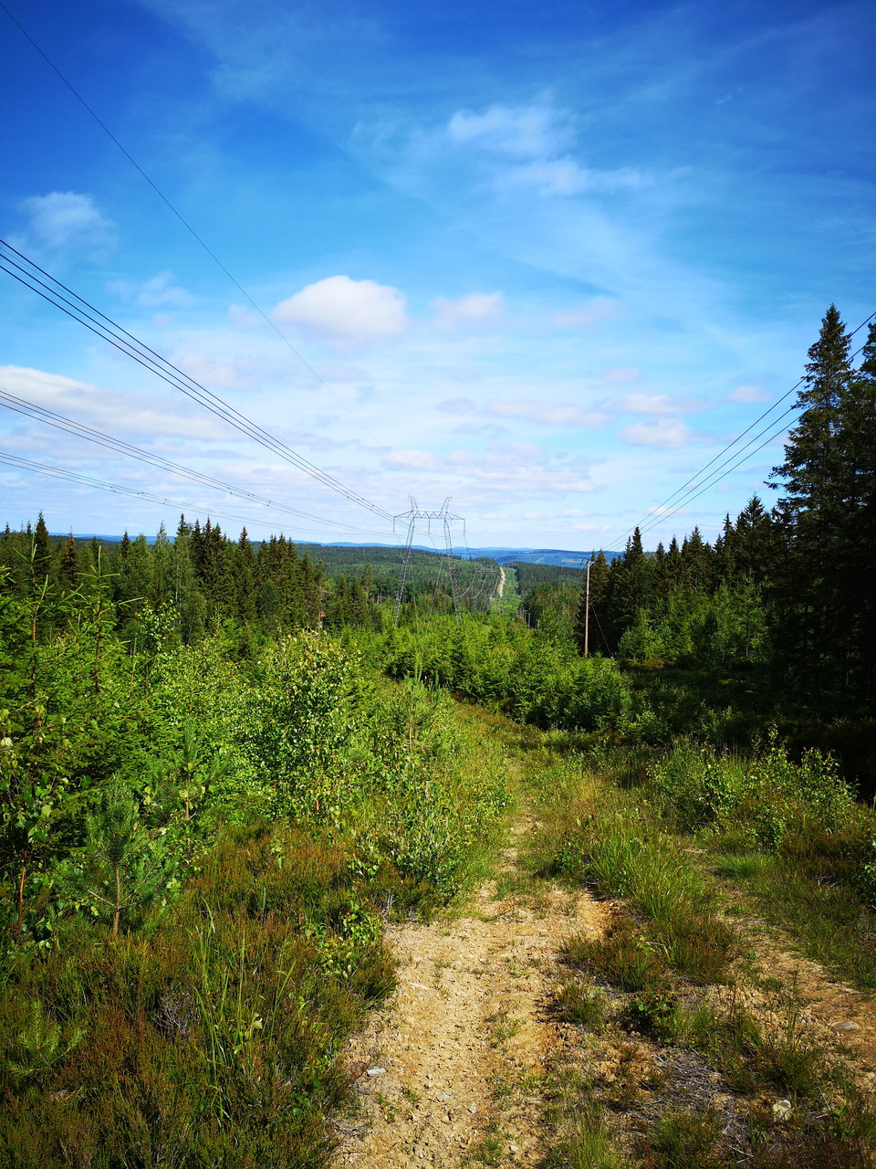 Vy från Trollberget norrut