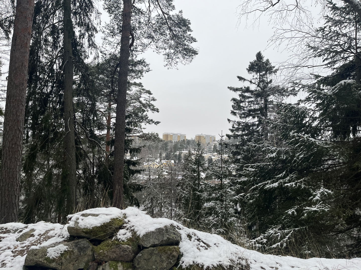 Utsikt mot Kungsängen