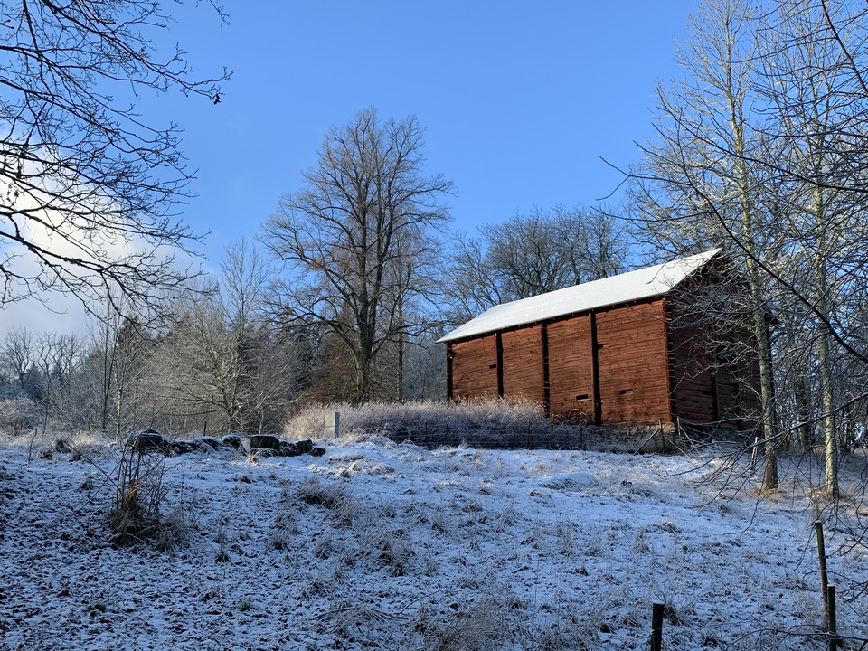 Lada vid Skårby, Bornsjön. Foto: Lena Malmström