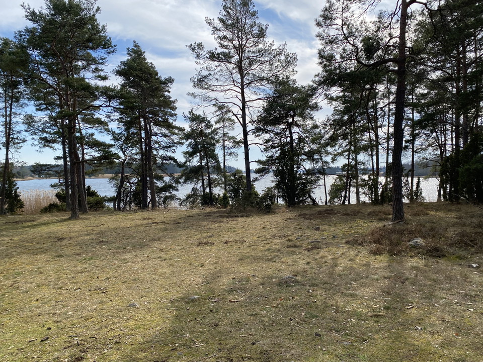Utsikt över vattnet