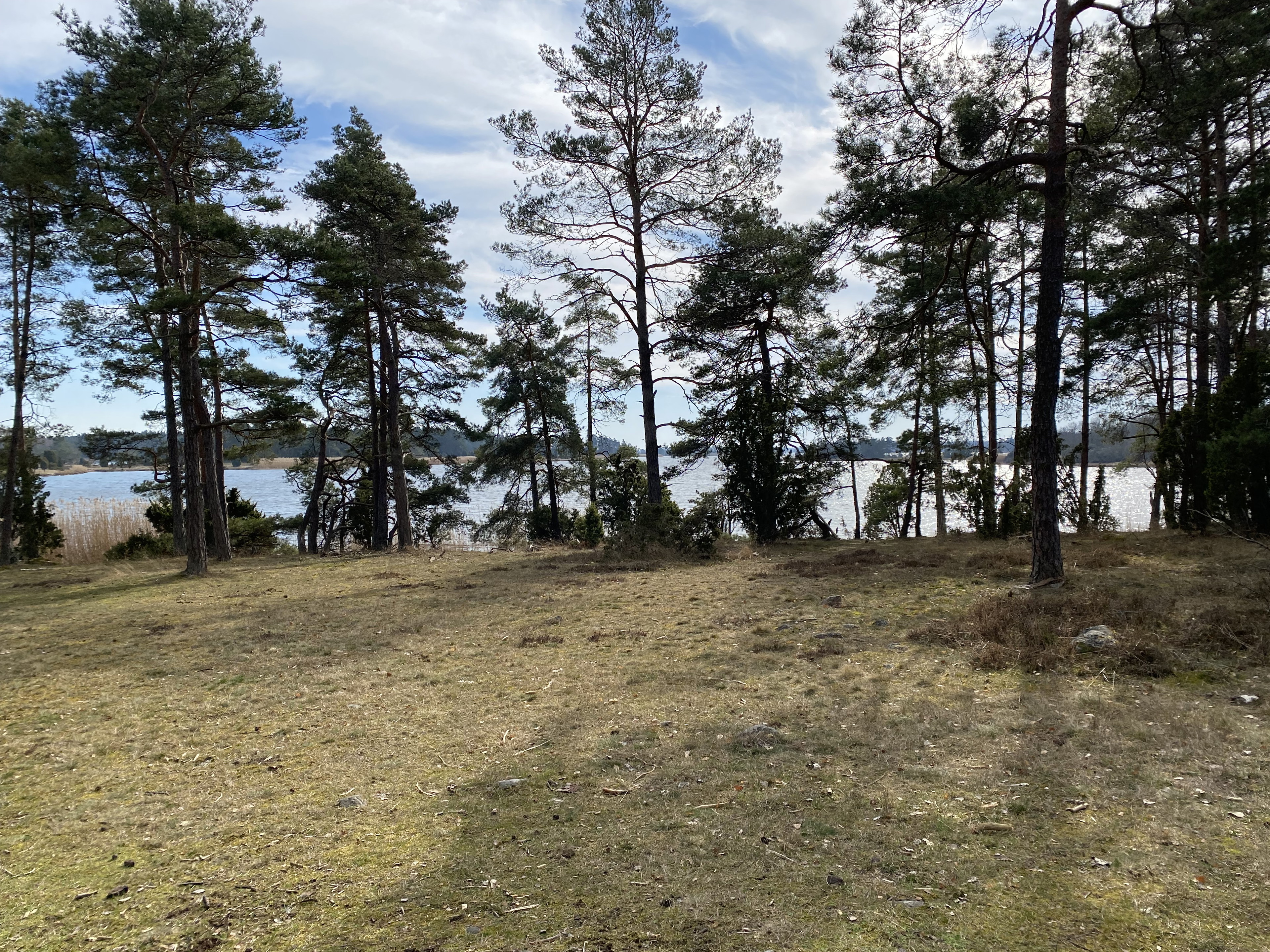 Utsikt över vattnet