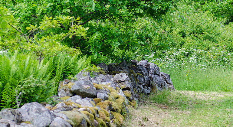 Gammal stenmur.