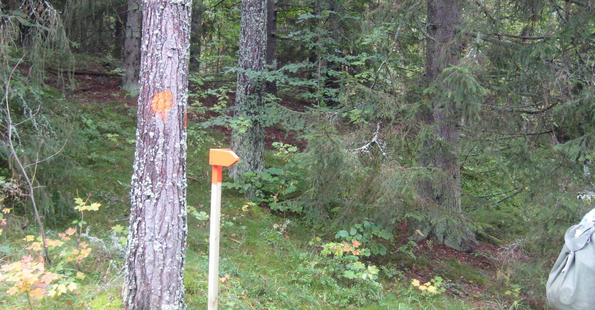 Pinnarp - Fagerhult, Östgötaleden