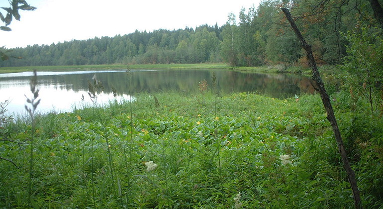 Vy över Ebonsviken.