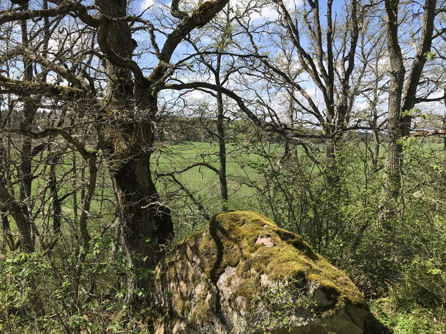 Bänk med utsikt Älvgärde