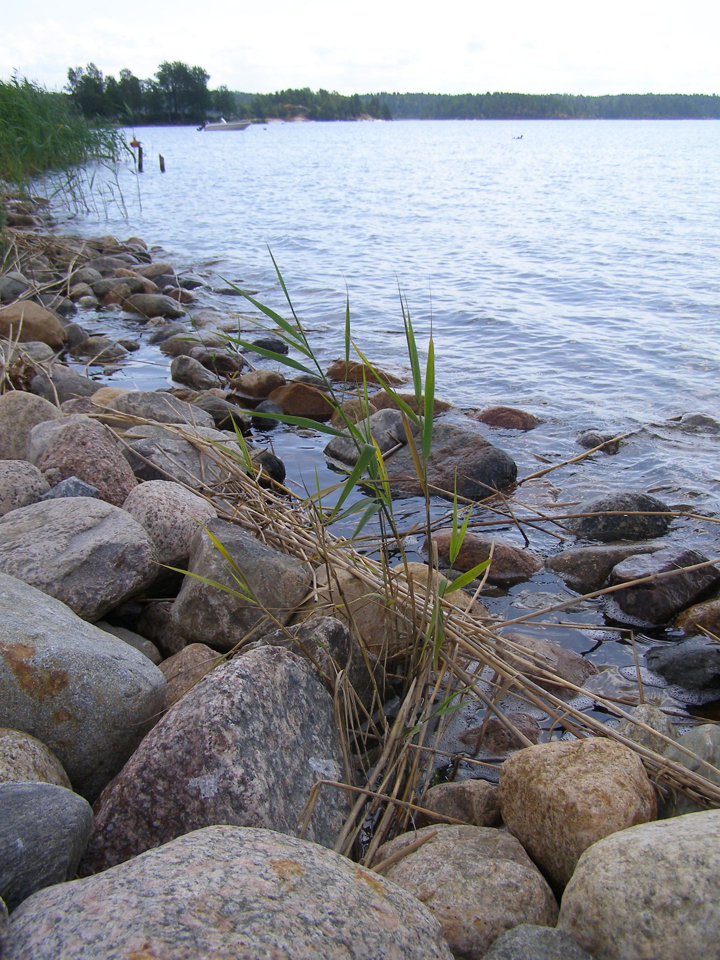 strandkant vid iläggningsplatsen