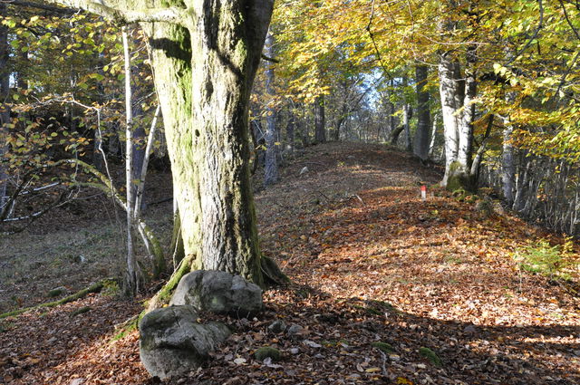 Loberget, Naturreservat