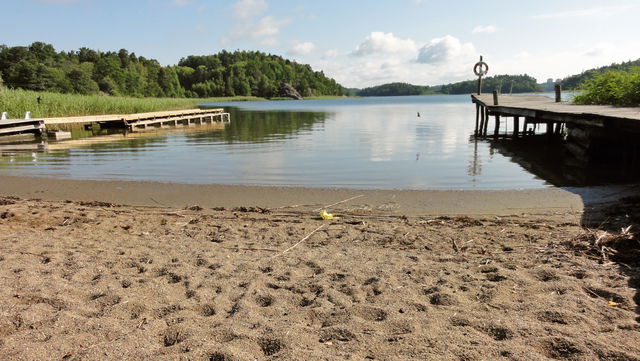 Badplats, Sågen