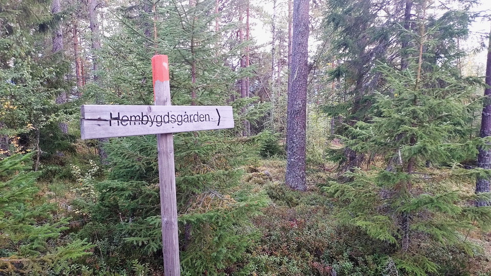 Toppleden Färila