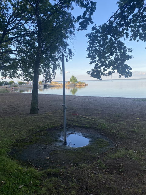 Utedusch