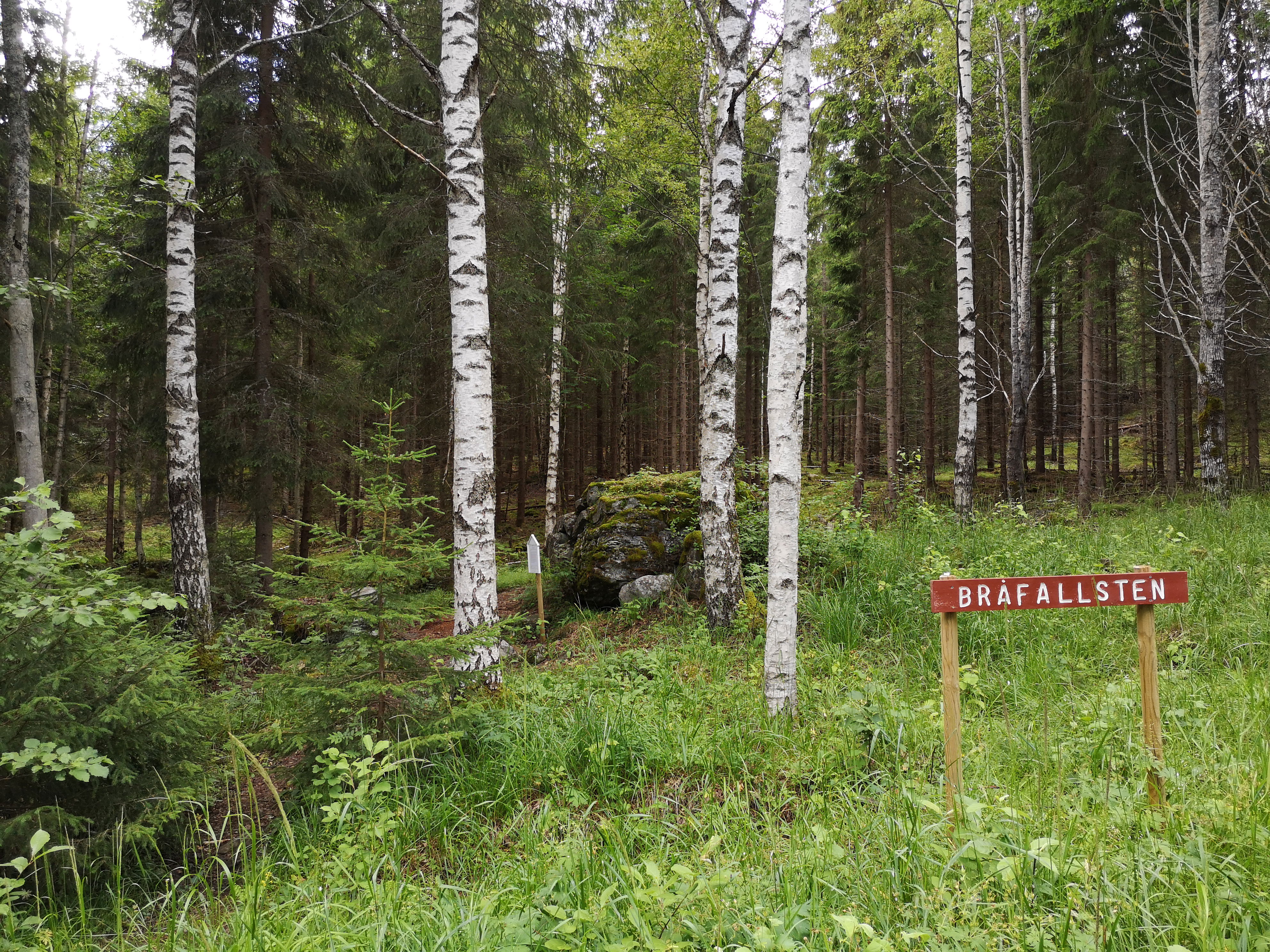 Skylt Bråfallstenen