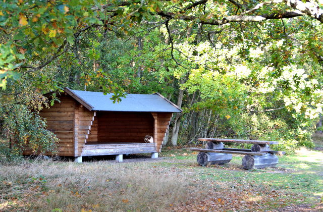 Vindskydd, Salanders hage