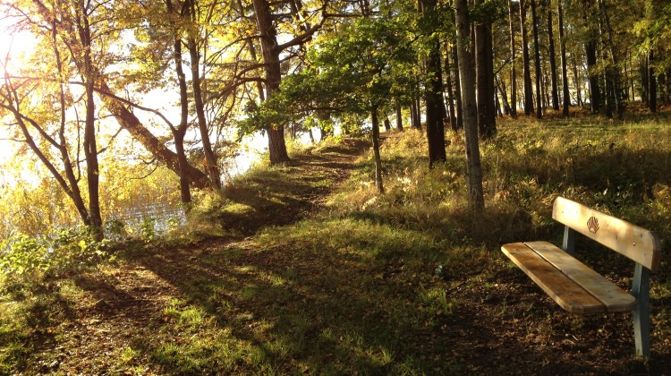 Vätternrundans MTB-bana leder dig på cykel runt i Motalas vackra natur