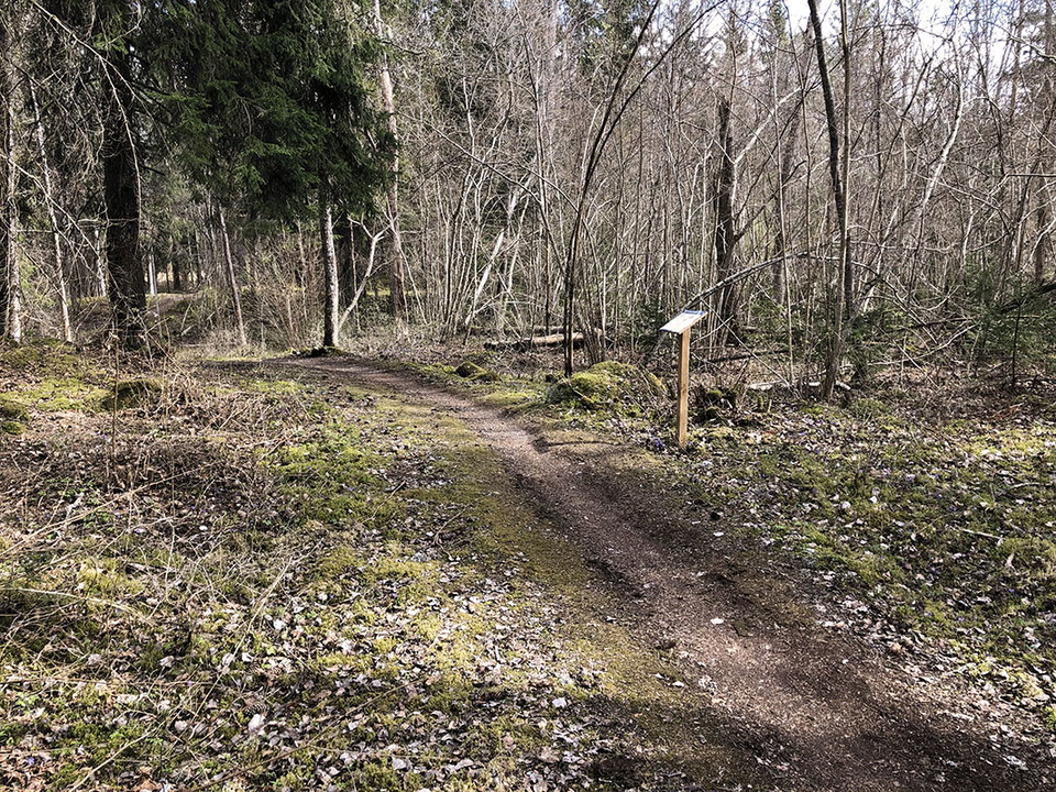 Stig genom glänta i skog. I vårsolen står en informationstavla.