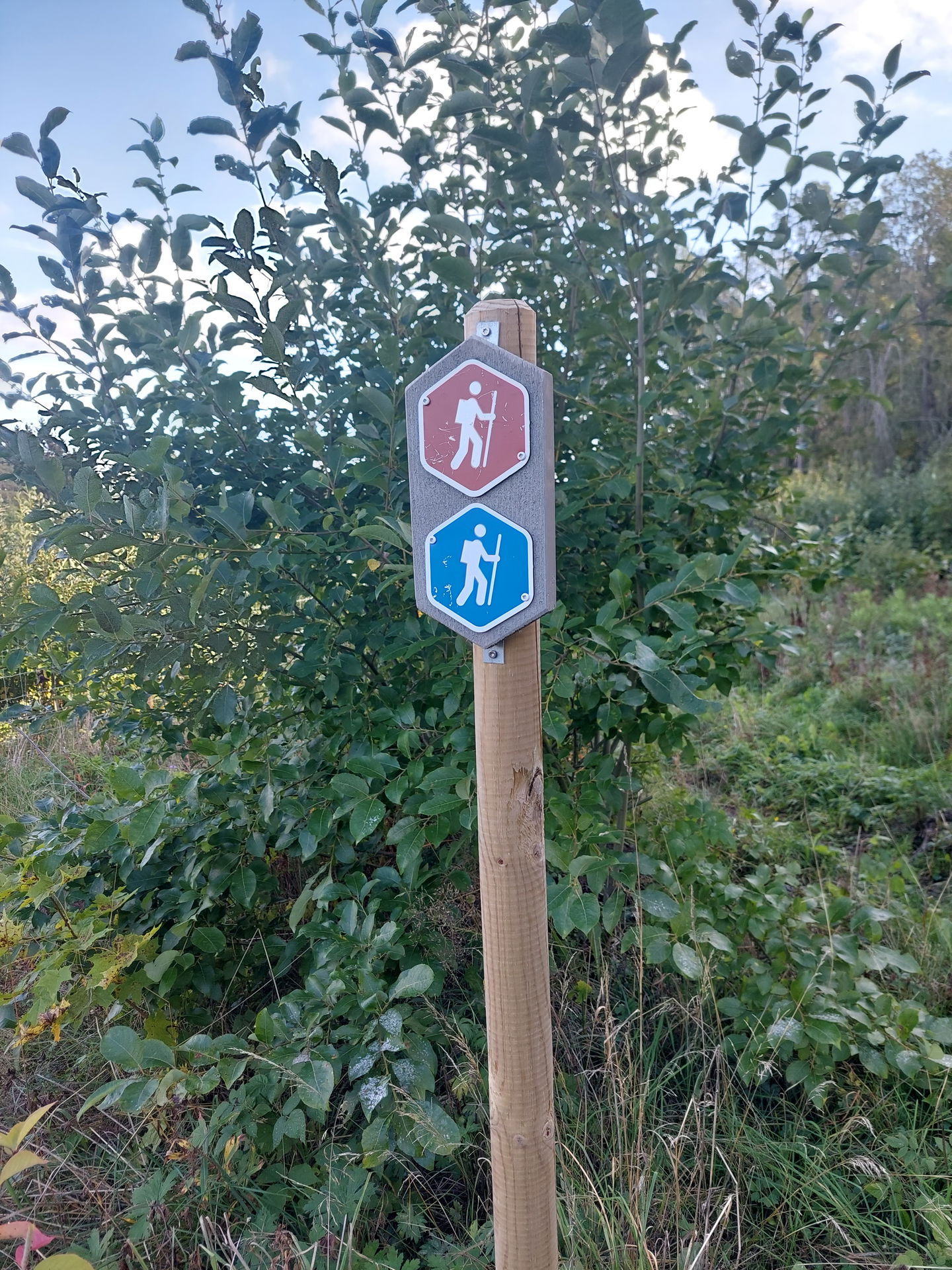 Spårmarkering