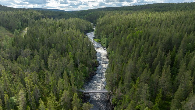 Malå-Storforsen
