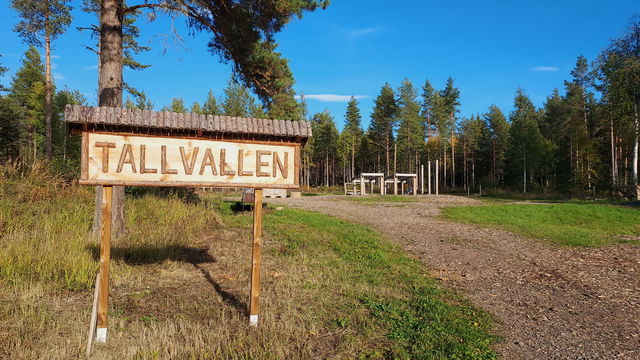 Utegym Tallvallen