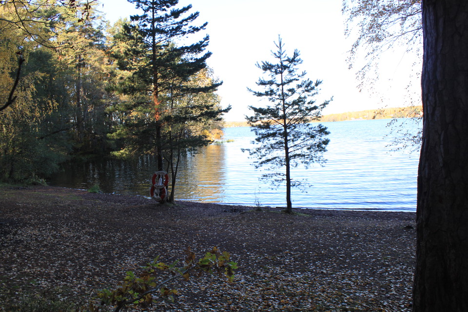I en vik finns sandstrand med flera träd på. På ett av träden hänger två livbojar. Vattnet är nästan spegelblankt.