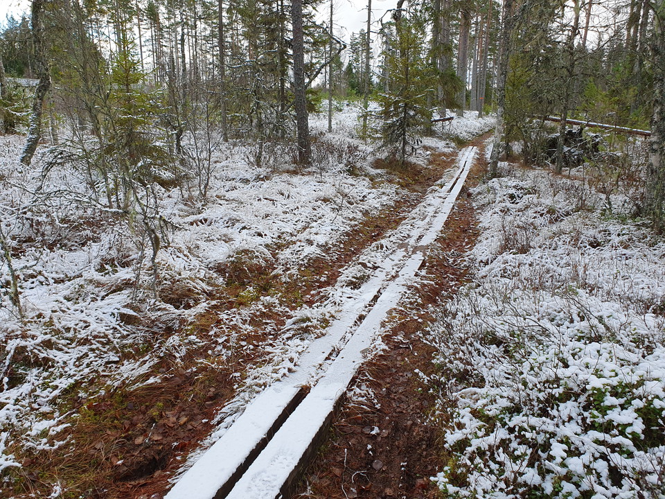 Stegaslingan är en lättgången och trevlig vandringsled som följer åsar på sandheden