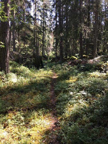 Hiking trail, Tre backar