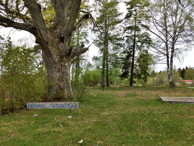 Barnens naturstig vid Edgars på Lagnö