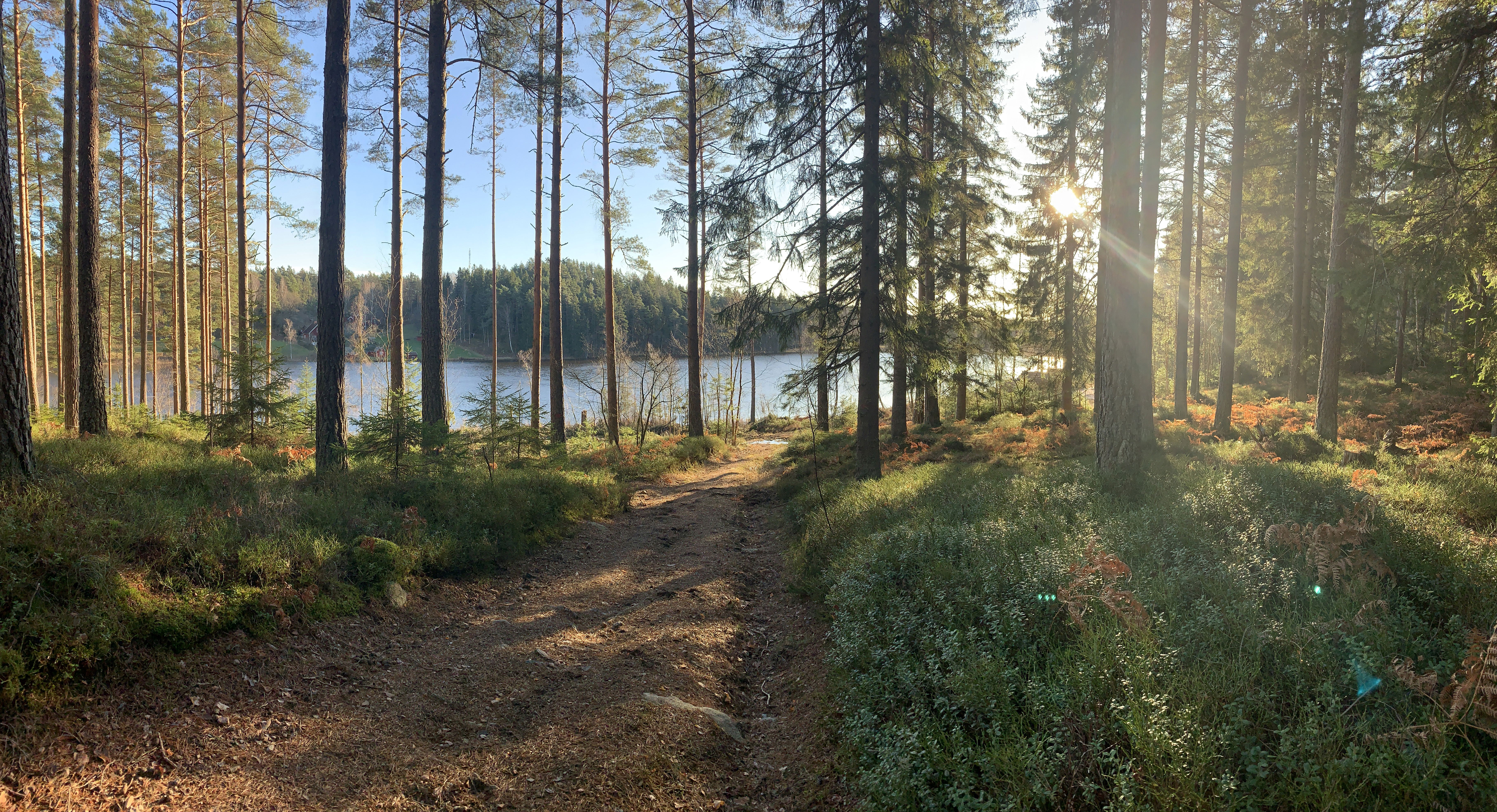 Foto Johan Karlsson