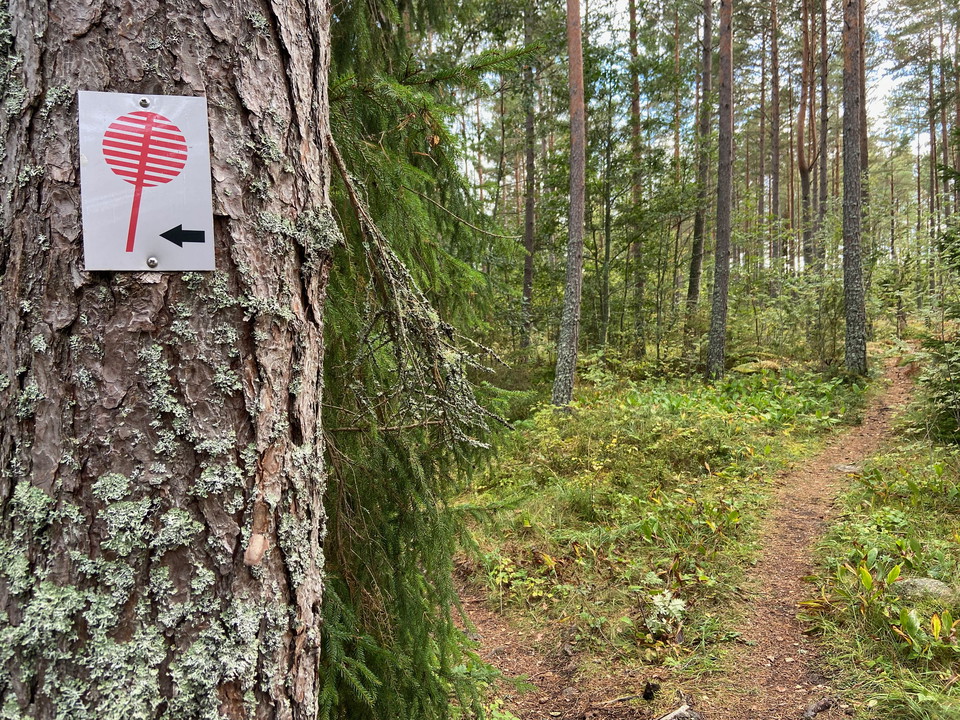 Bild på en metallbricka med en röd symbol som sitter på en trädstam. I bakgrunden syns skog och en skogsstig.