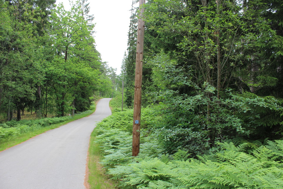Cykelvänligt hit