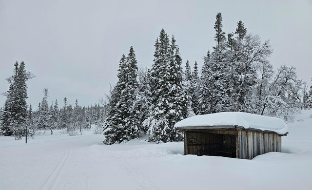 Längdspår 7,5 km - Högfjällshotellets spårcentral (Storlien)