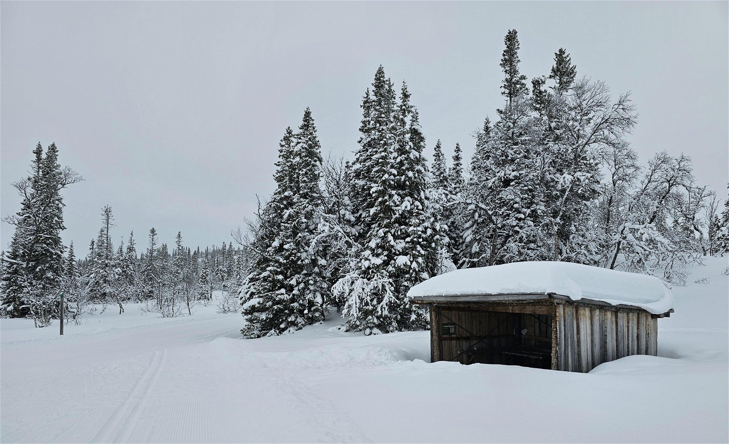 Vindskydd i snöig miljö i skogskanten 