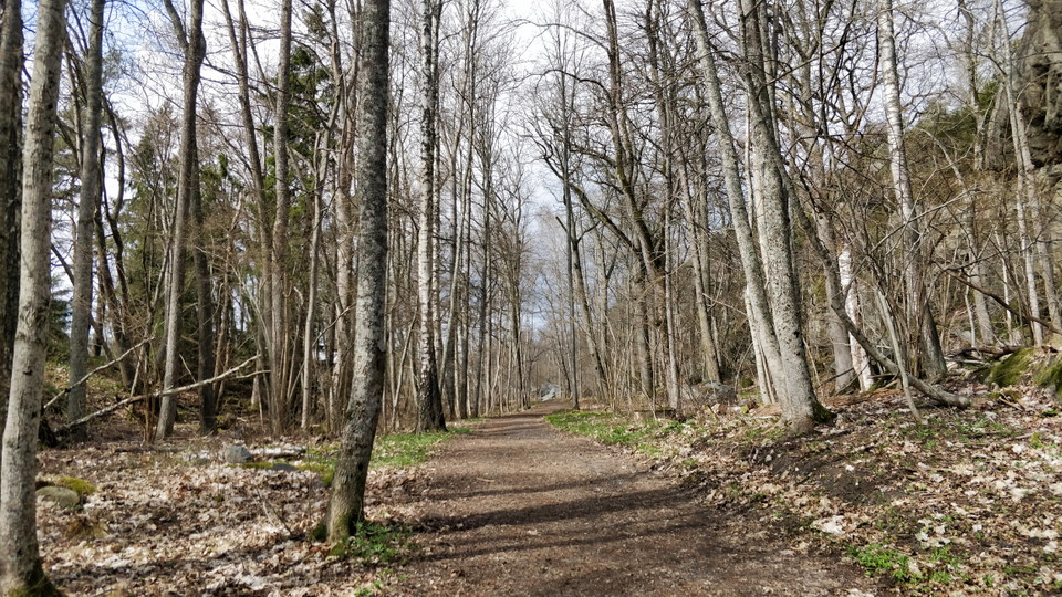 Bild på promenadvägen från den södra parkeringen