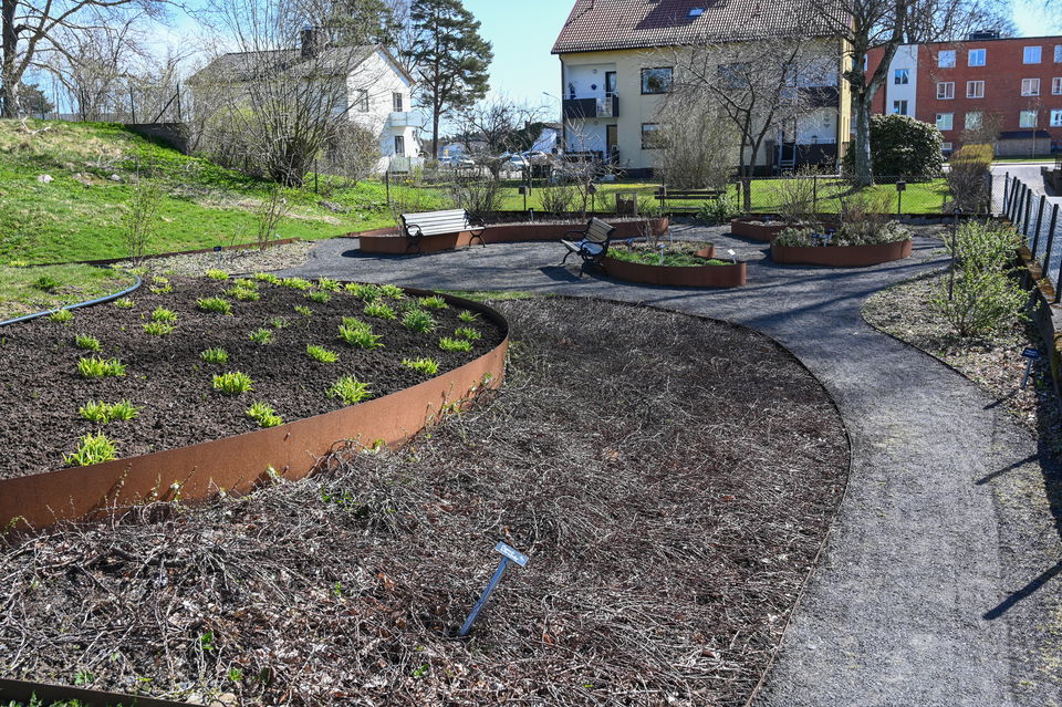 Odlingar i parken