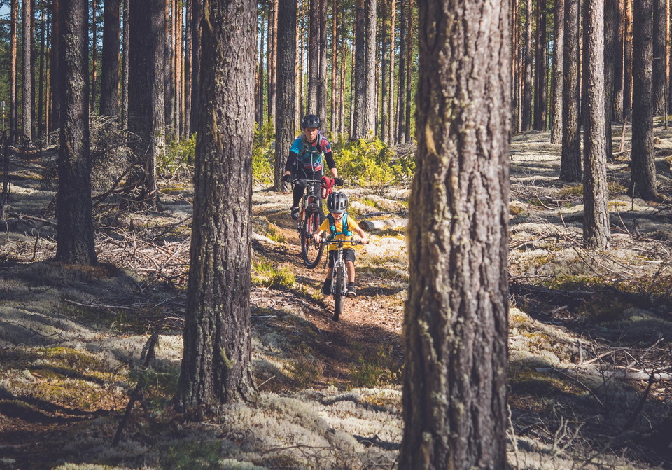 Ormtjärnsleden bjuder på härlig MTB i vitmosseklädda skogar