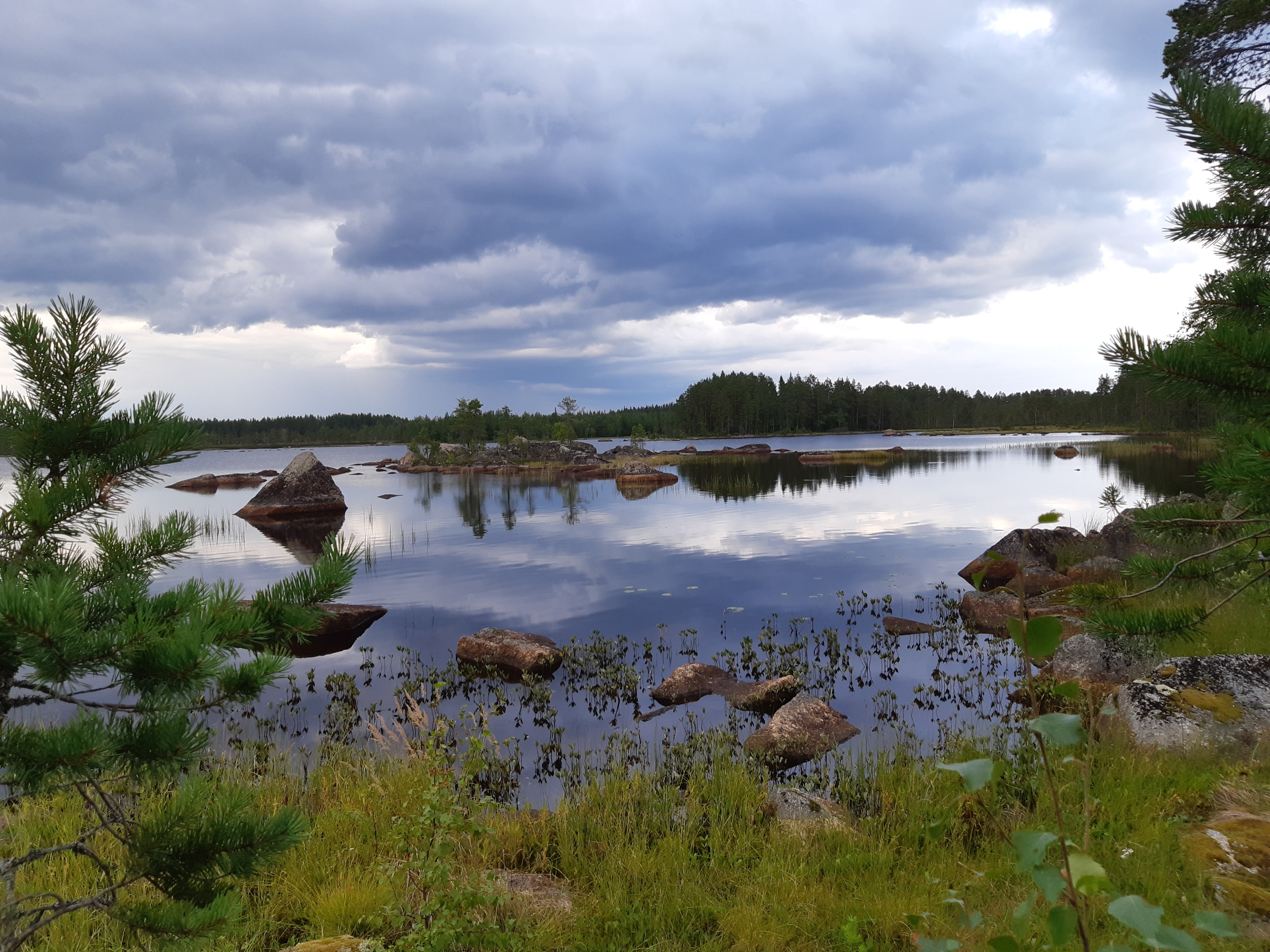 Myrsjön som man passerar in mot Fågelsjö by.