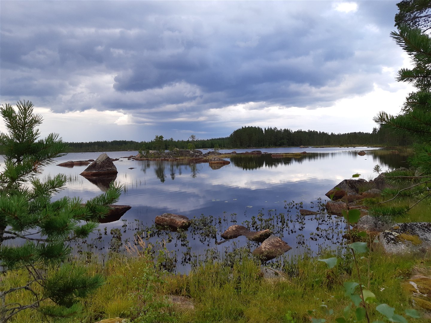 Myrsjön som man passerar in mot Fågelsjö by.