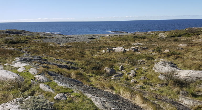stenig mark mot havet