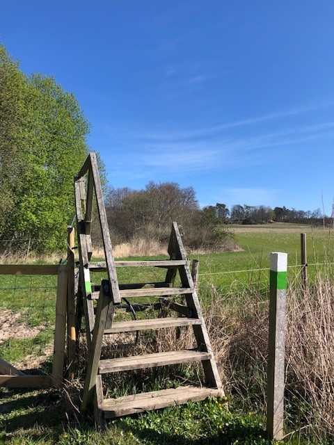 Lyckåleden