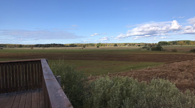 Fågeltorn, Ålsjön