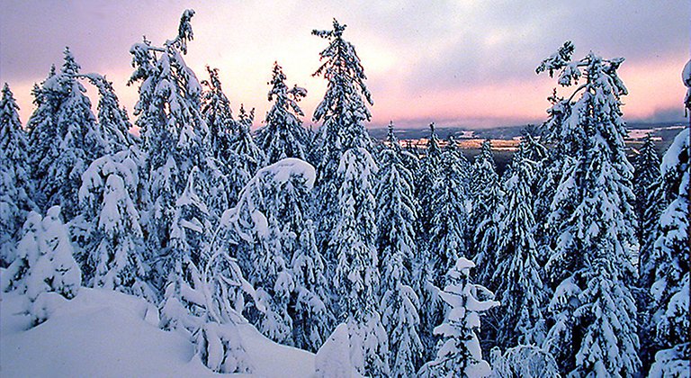 Branäsberget, Naturreservat