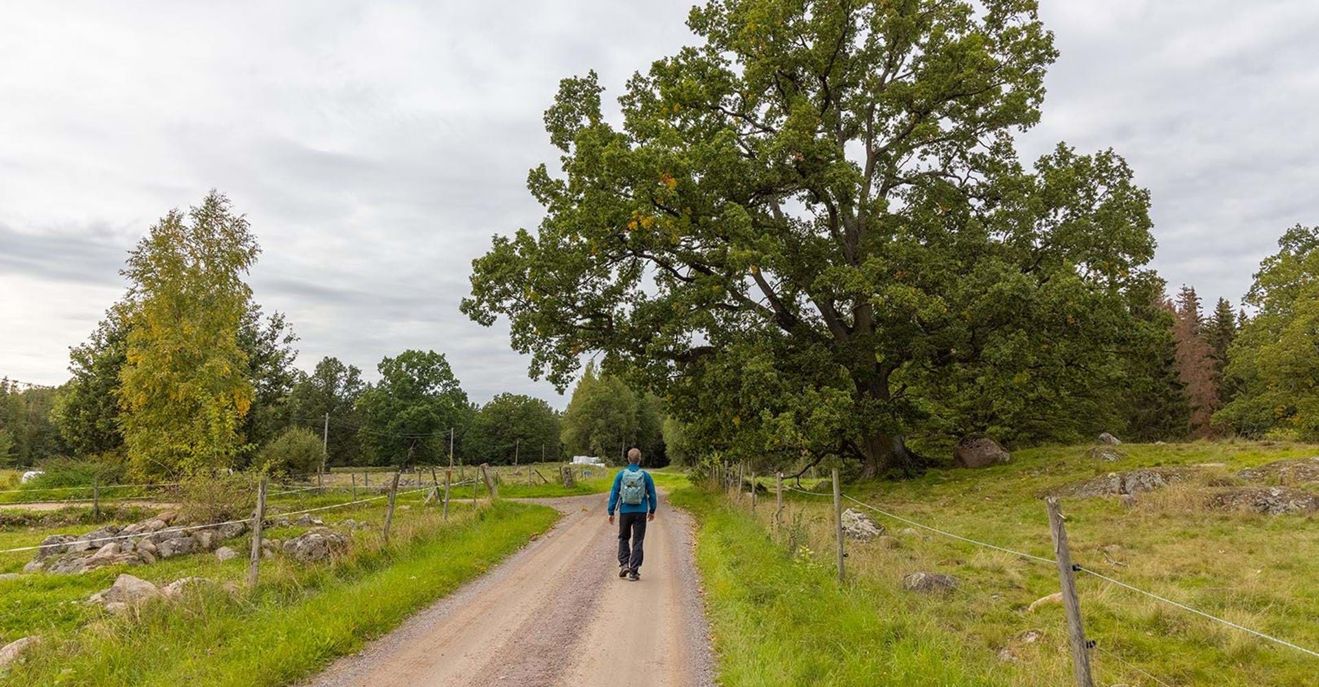 Vackra hagmarker söder om Boxholm Etapp: Boxholm-Blåvik