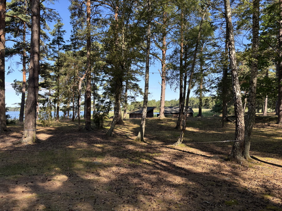 Balansgång