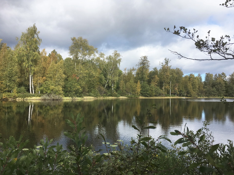 Angylet i okotober.