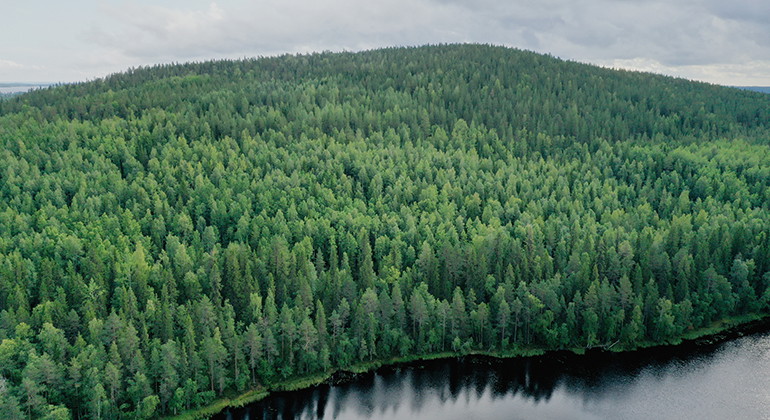 Tväråkölen, med en del av Tväråkölstjärnen i förgrunden.