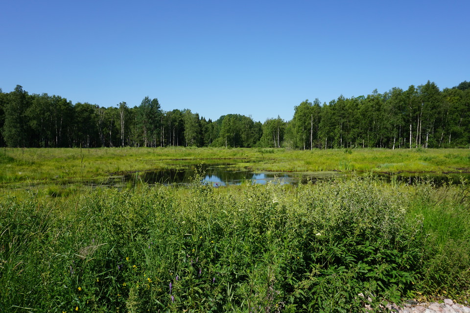 Vy från tillgänglighetsspåret
