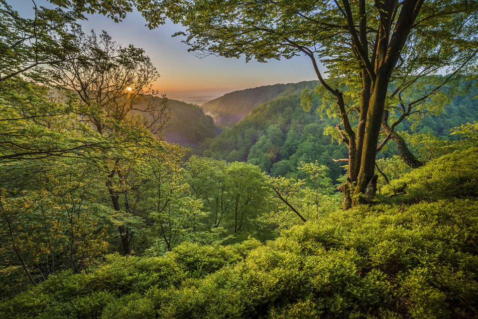 Soluppgång. Kopparhatten. Söderåsens nationalpark.